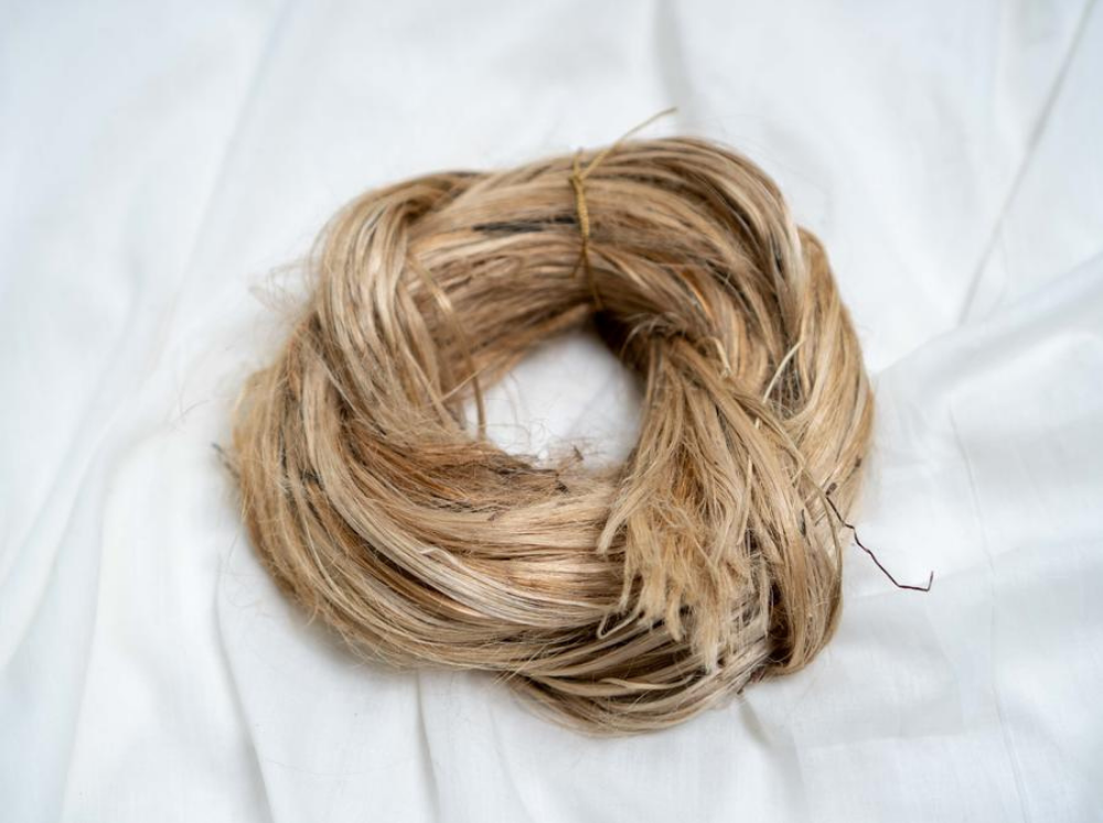 Jute Fibre